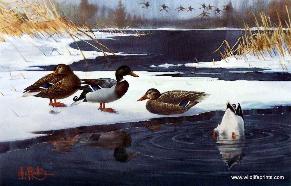 Les Kouba Mallards On Ice