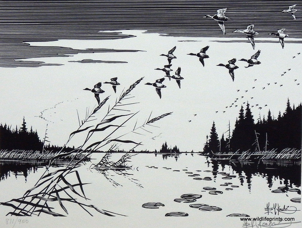 Les Kouba Mallards Over Sara Bay