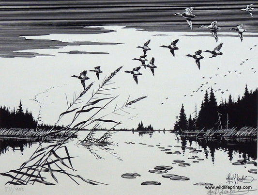 Les Kouba Mallards Over Sara Bay