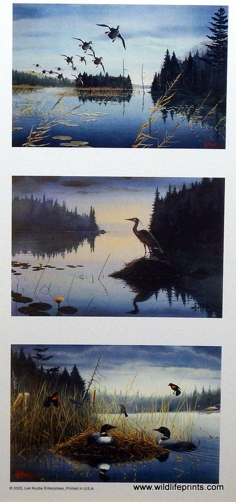 Les Kouba May In Minnesota Trilogy