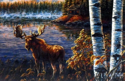 John Mcfaul " I Can hear you" Northwoods Moose