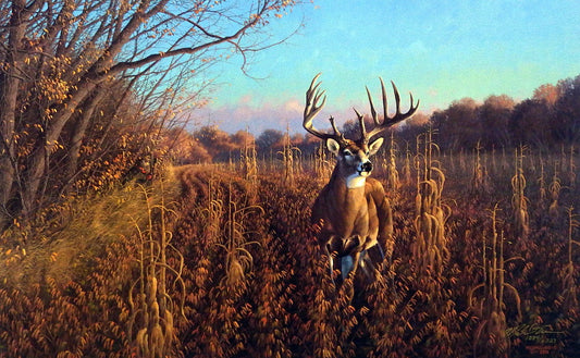 Michael Sieve Mel Johnson & The Beanfield Buck