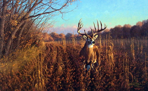 Michael Sieve Mel Johnson & The Beanfield Buck