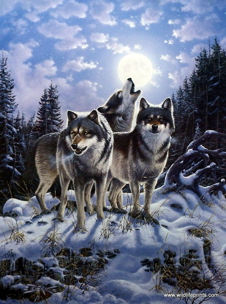Derk Hansen Midnight Watcher