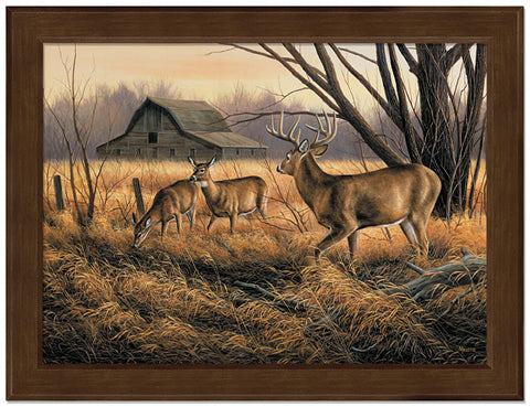 Rosemary Millette Abandoned Farmstead Studio Canvas-Framed