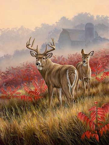Rosemary Millette Lifting Fog Deer Art Print