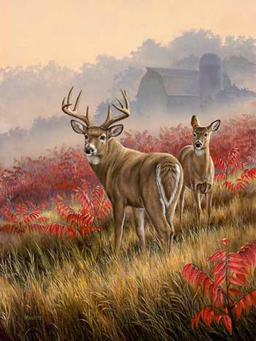 Rosemary Millette Lifting Fog Deer Art Print