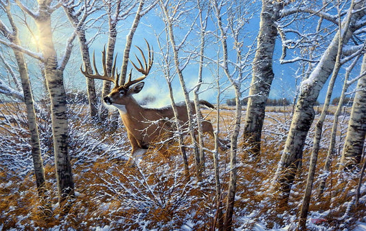 Michael Sieve Milo Hanson & The Hanson Buck