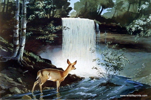 Les Kouba Minnehaha Falls