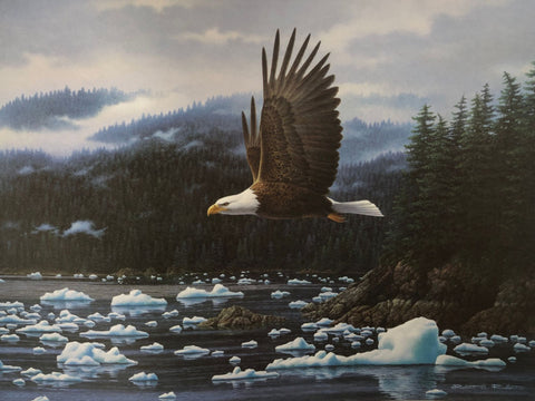 Robert Richert Misty FJord Eagle Forest Art Print 24 x 18