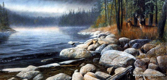 Kevin Daniel Misty Waters
