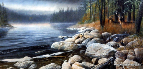 Kevin Daniel Misty Waters