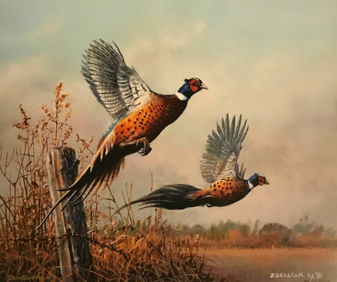Scott Zoellick Flying Colors S/N Pheasant Farm Art Print