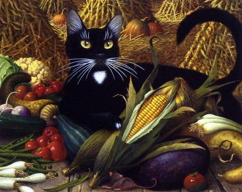 Charels Wysocki Black Cat Picture