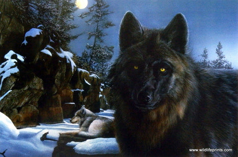 Kevin Daniel Moon Shadow