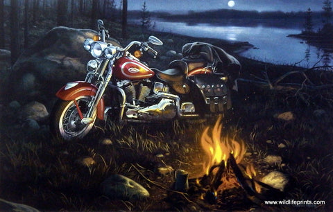 Charles Freitag Harley Davidson motorcycle picture