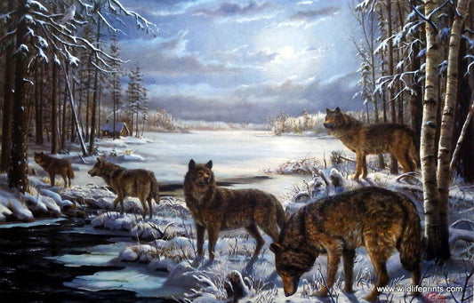 Mary Pettis Moonlit Crossing