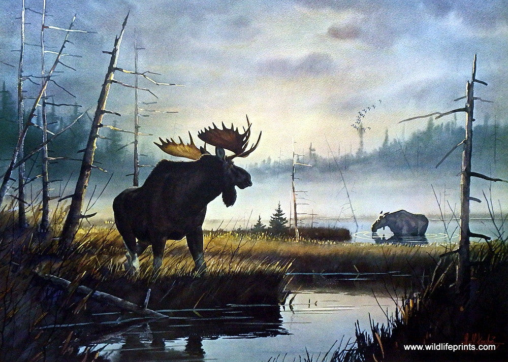 Les Kouba Moose Country - 24.25"x17.75- Signed Artists Proof