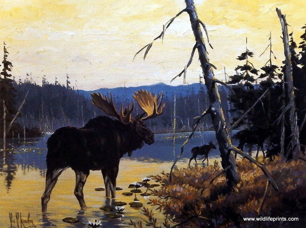 Les Kouba Moose Family Up North