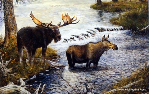 Gamini Ratnavira Moose