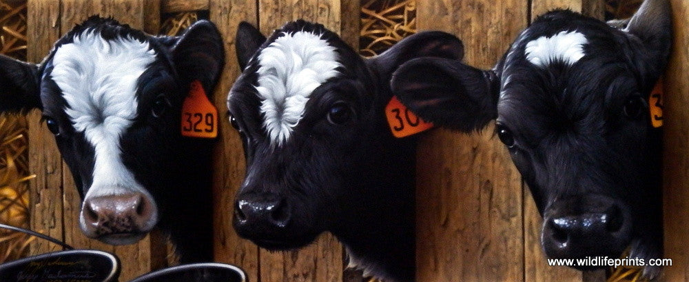 Jerry Gadamus More Milk Please