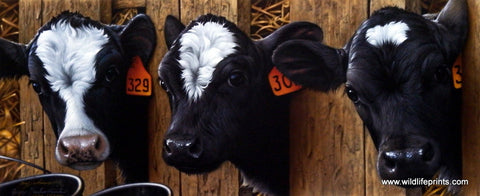 Jerry Gadamus More Milk Please