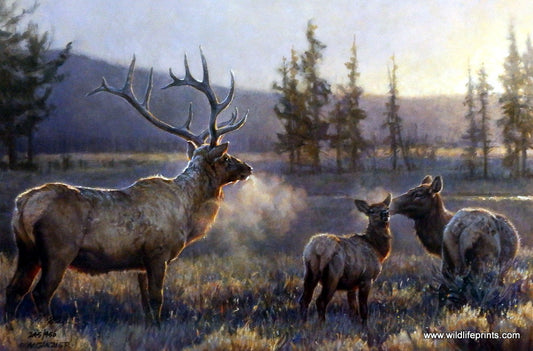 Nancy Glazier Morning