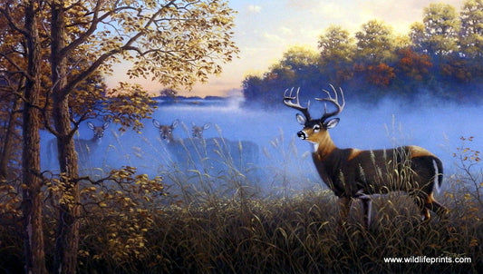 Derk Hansen Morning Fog