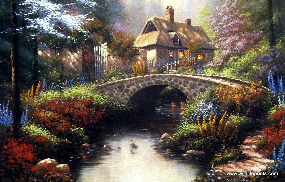 Derk Hansen Morning Splendor