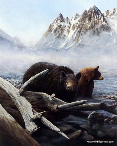 Kevin Daniel Morning Venture