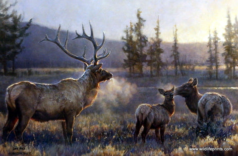 Nancy Glazier Morning
