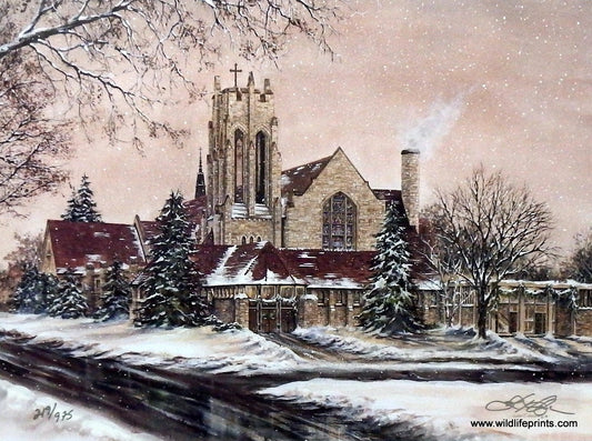 Susan Amidon Mount Olivet Lutheran Church
