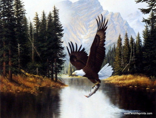 Derk Hansen Mountain Majesty