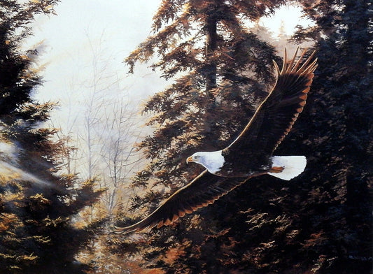 Andrew Kiss Eagle Print MYSTIC FLIGHT