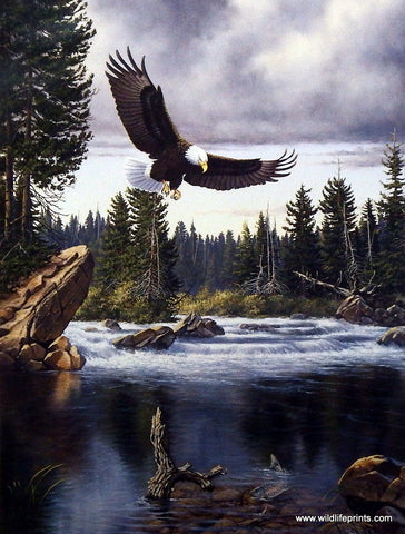 Derk Hansen Nature's Medley-Eagle