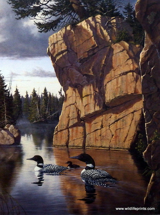 Derk Hansen Nature's Medley-Loons