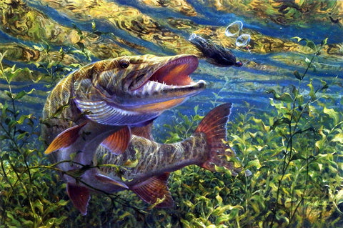Mark Susinno No Escape- Muskie