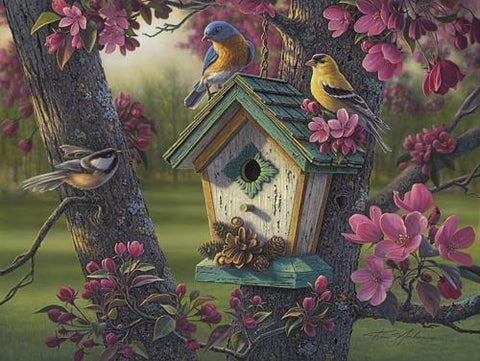 Kim Norlien Springtime Beauty Bird Art Print  16 x 12