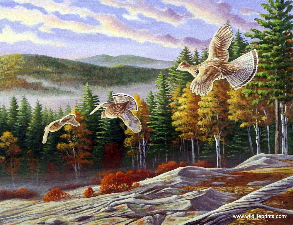 Ron Nelson North Country Grouse