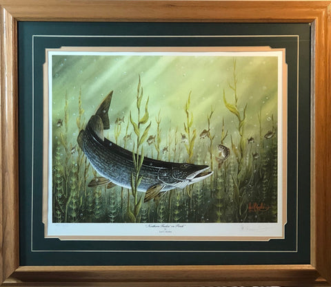 Les Kouba Northern Feedin On Perch S/N Fishing Art Print-Framed