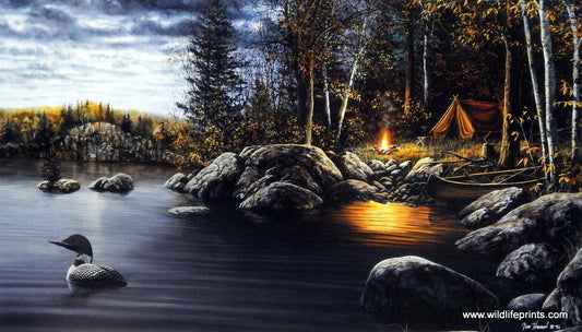 Jim Hansel Northern Solitude