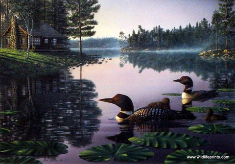 Kim Norlien Northern Tranquility