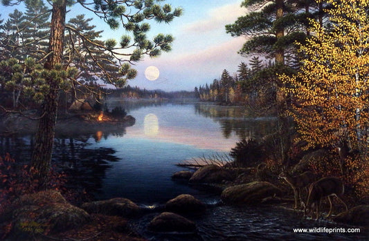 James Meger Northern Twilight