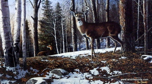 Jim Hansel Northridge Whitetails
