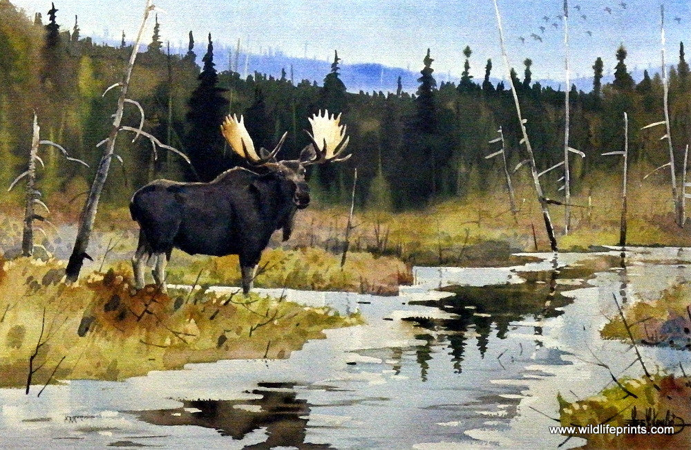 Les Kouba November In Border Lakes Country
