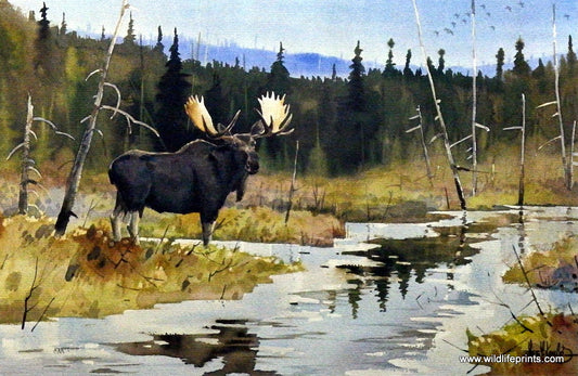 Les Kouba November In Border Lakes Country