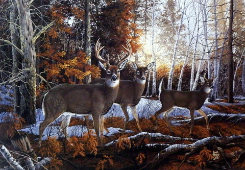 Don Blakney Wildlife print with whitetail deer including a buck