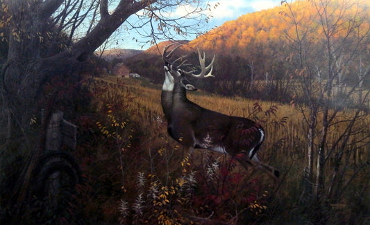 Michael Sieve October Ritual-Whitetail Deer