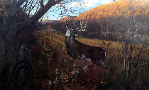 Michael Sieve October Ritual- Whitetail Deer