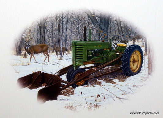 Greg Bordignon Old Farmstead II